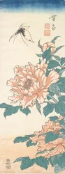 Papillon et pivoine arbustive